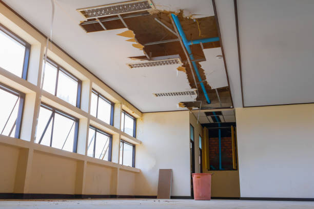 Best Flood restoration services  in Dixon, CA
