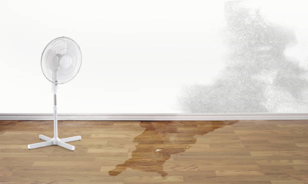 Best Water damage restoration company  in Dixon, CA