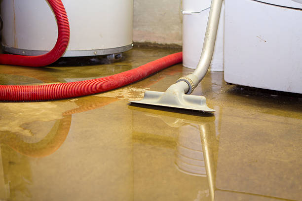 Best Carpet water damage restoration  in Dixon, CA