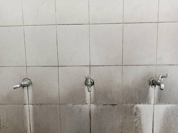 Best Water damage restoration near me  in Dixon, CA
