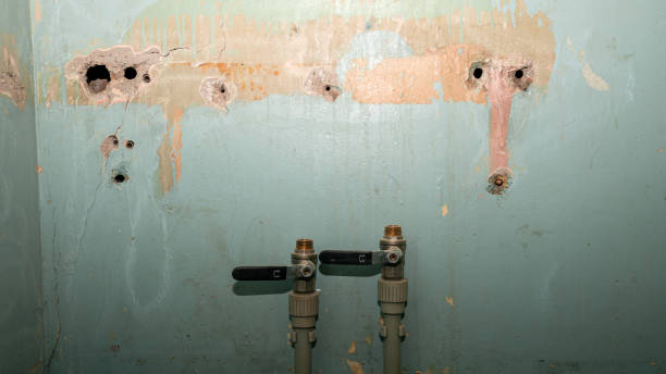 Carpet water damage restoration in Dixon, CA