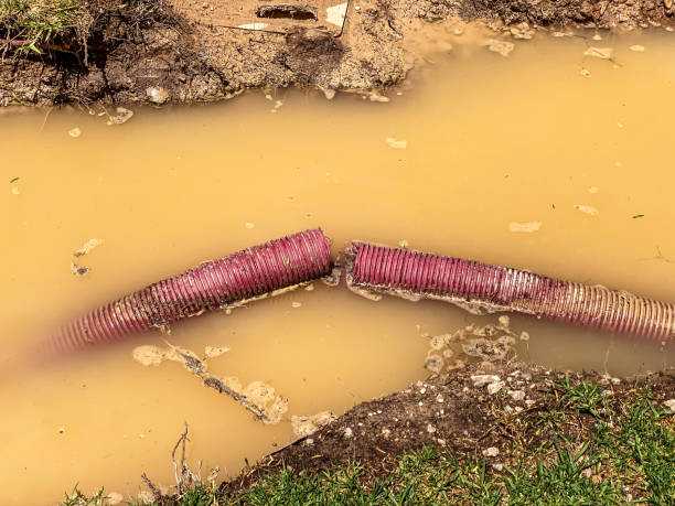 Dixon, CA Water damage restoration Company