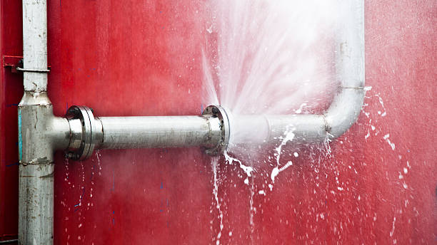  Dixon, CA Water damage restoration Pros